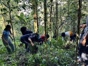 Site Visit Update: 95% Survival Rate of Trees Planted at Tree Top Adventure